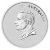 Stříbrná mince 1 Oz Lunar Series III Year of the Horse 2026 Kolorováno