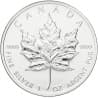 Stříbrná mince 1 Oz Maple Leaf 1999