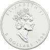 Stříbrná mince 1 Oz Maple Leaf 1999