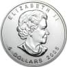 Stříbrná mince 1 Oz Maple Leaf 2005