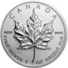 Stříbrná mince 1 Oz Maple Leaf 2005