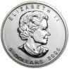 Stříbrná mince 1 Oz Maple Leaf 2006