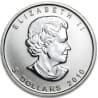 Stříbrná mince 1 Oz Maple Leaf 2010