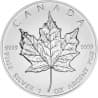 Stříbrná mince 1 Oz Maple Leaf 2012