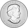 Stříbrná mince 1 Oz Maple Leaf 2012