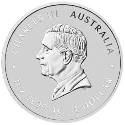 Stříbrná mince 1 Oz Lunar Series III Year of the Snake 2025