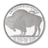 Stříbrná medaile 1 Oz American Buffalo