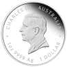 Stříbrná mince 1 Oz Lunar Series III Year of the Horse 2026 Proof