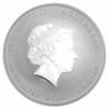 Stříbrná mince 1 Oz Lunar Series II Year of the Tiger 2010 Kolorováno