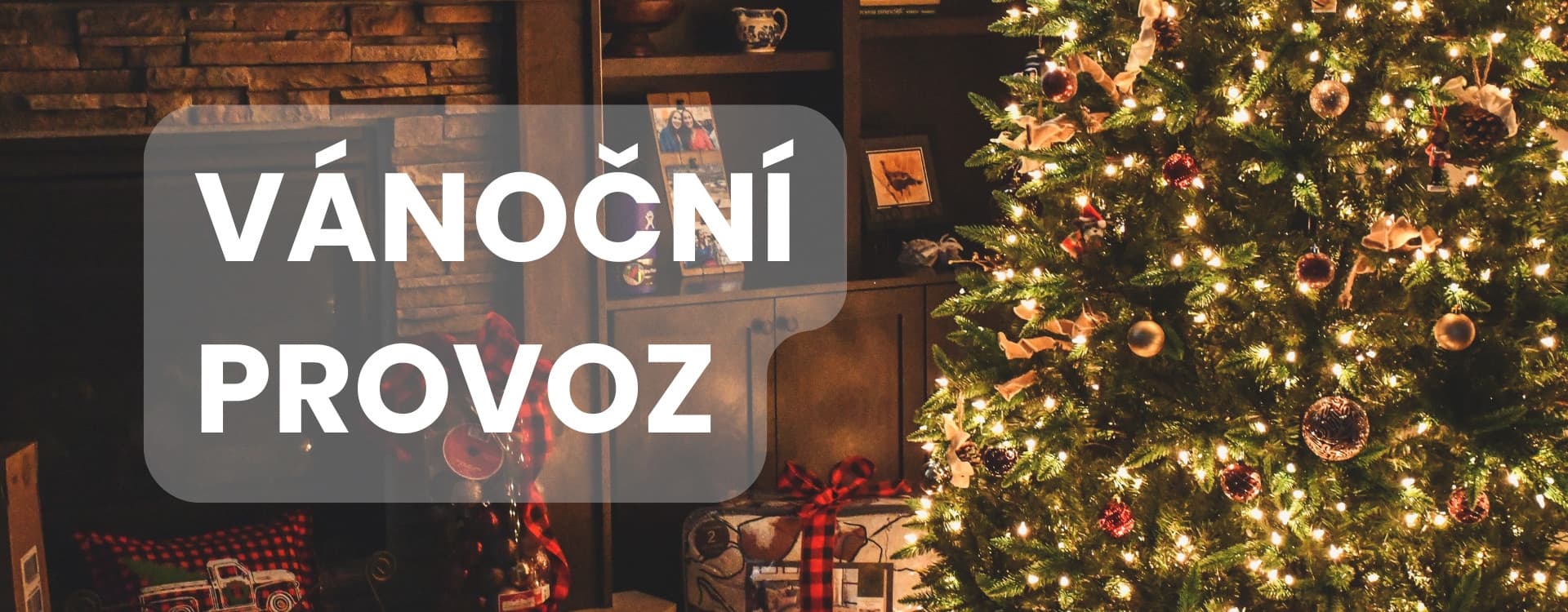 Vánoční provoz na goldasilver.com 🎄